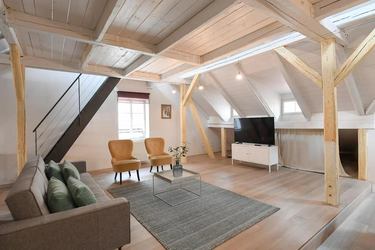 公寓 布拉格Our Loft At Charles Bridge公寓
